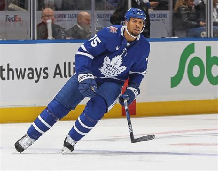 Ryan Reaves (Hockey Player) - Age, Birthday, Bio, Facts, Family, Net Worth, Height & More