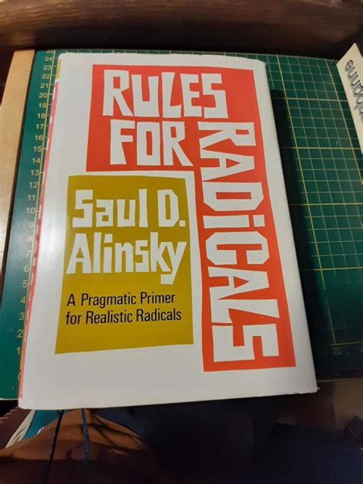 Saul David Alinsky Net Worth, Income, Salary, Earnings, Biography
