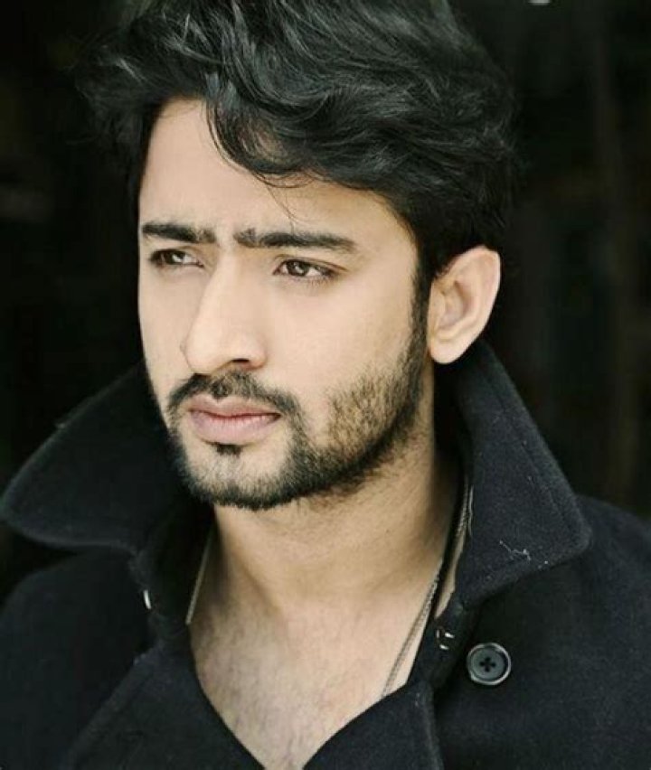 Shaheer Sheikh Biography, Age, Height, Wife, Net Worth, Family
