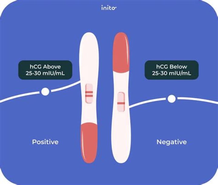 Sugar Bear Might Not Be Honey Boo Boo’s Dad After DNA Test Results Are “Inconclusive”