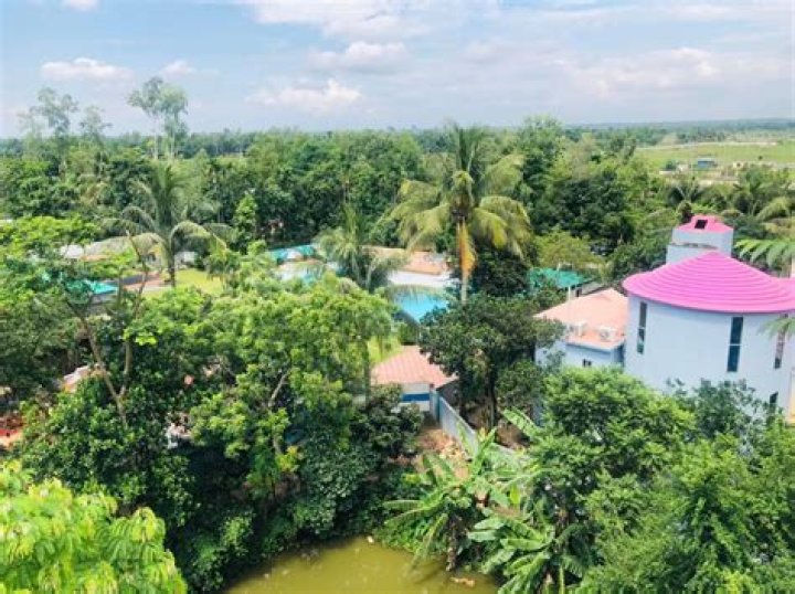 Tea Heaven Resort, Kamalpur, India