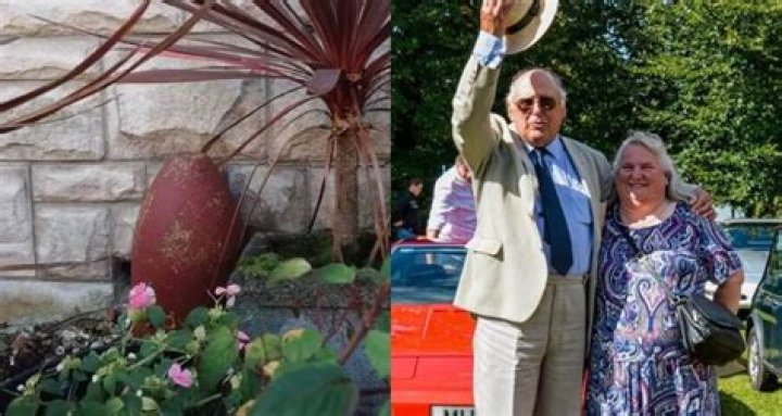 This Welsh Couple Kept A Live Bomb In Their Garden For Decades