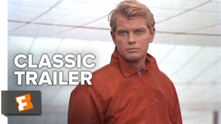 Troy Donahue (Movie Actor) - Age, Birthday, Bio, Facts, Family, Net Worth, Height & More