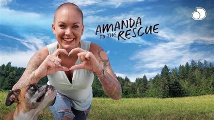 Was Amanda to the rescue Cancelled? – Celebrity.fm – #1 Official Stars, Business & People Network, Wiki, Success story, Biography & Quotes