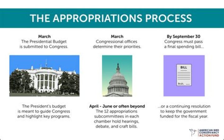 What are appropriations in government?