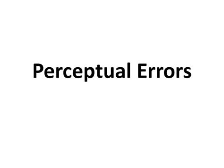 What are common perceptual errors?
