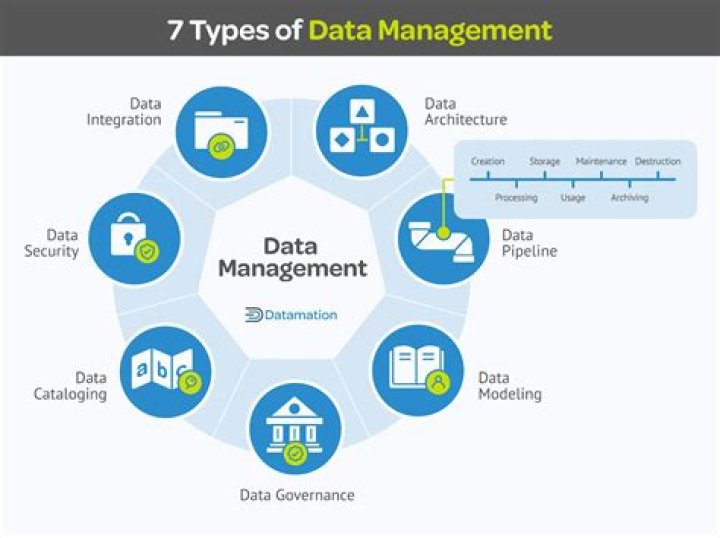 What are data management processes?