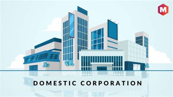 What are domestic companies?
