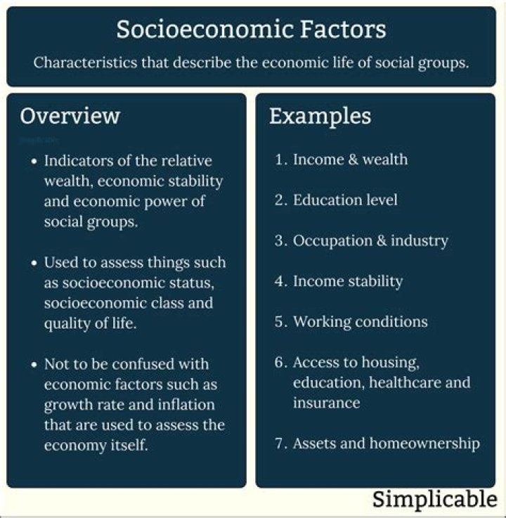What are the 4 socio economic factors?