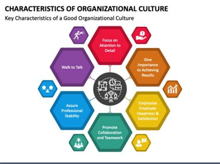 What are the 5 characteristics of organization?