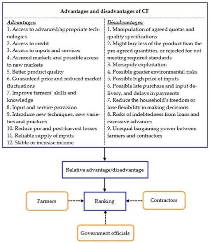 What are the advantages of the conceptual framework?