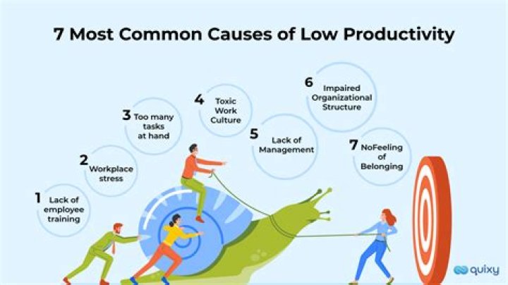 What are the causes for low productivity?