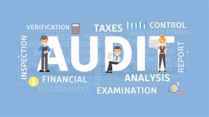 What are the disadvantages of external audits?
