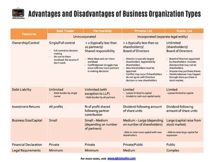 What are the merits of business Organisation?