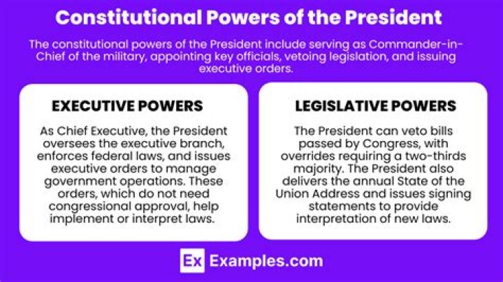 What are the powers and duties of an auditor?