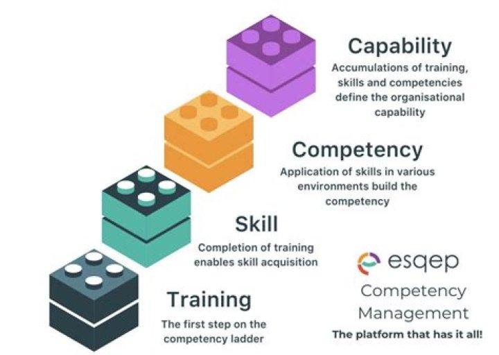 What are your current skills and capabilities?