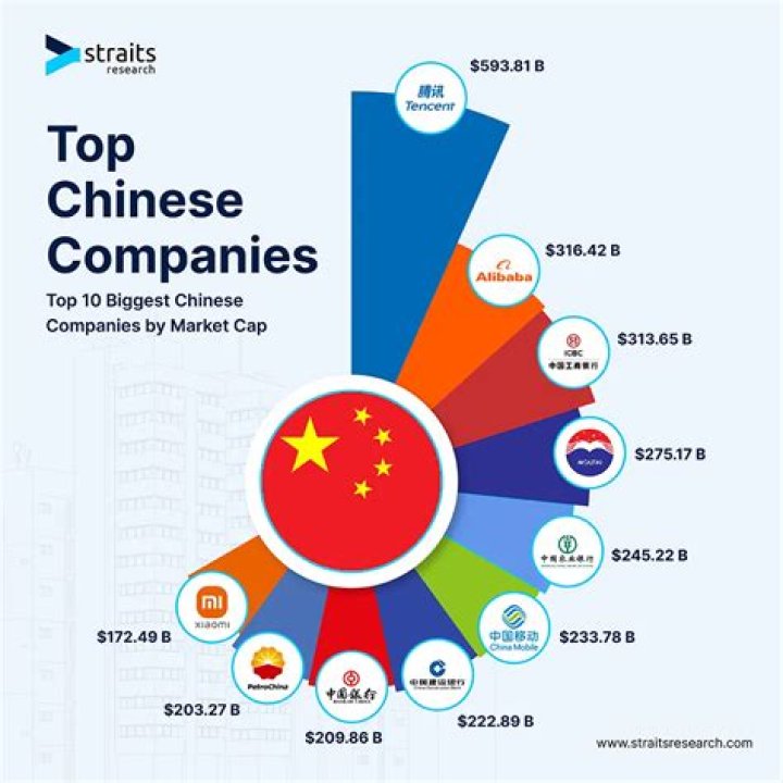 What big companies are owned by China?