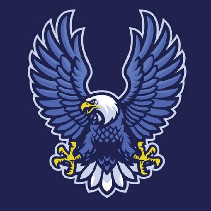 What brand has a blue eagle logo?