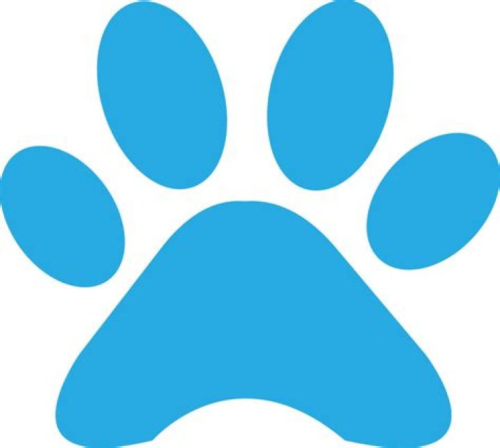 What brand has a blue paw print logo?