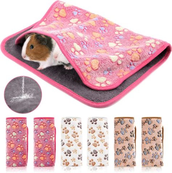 What can you use if you run out of guinea pig bedding?