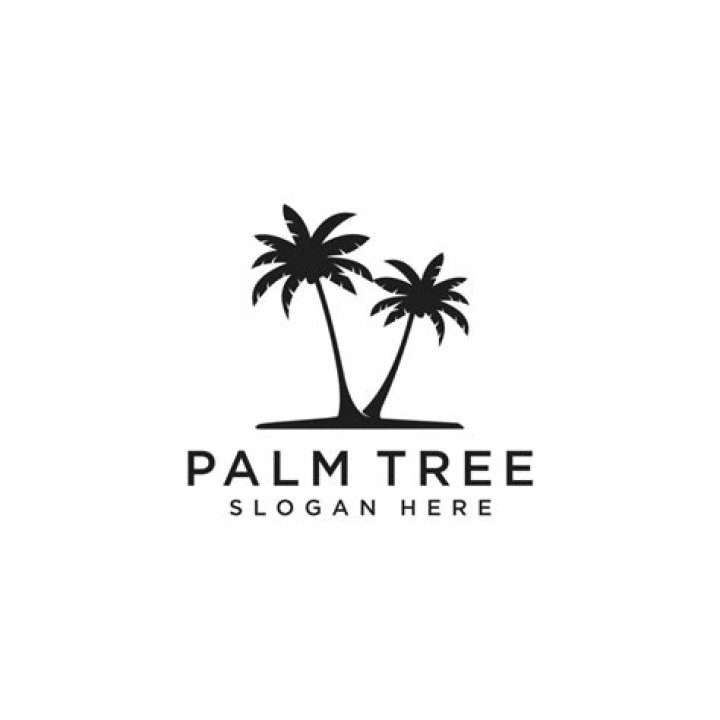 What clothing brand has a palm tree logo?
