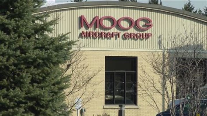 What company owns Moog?