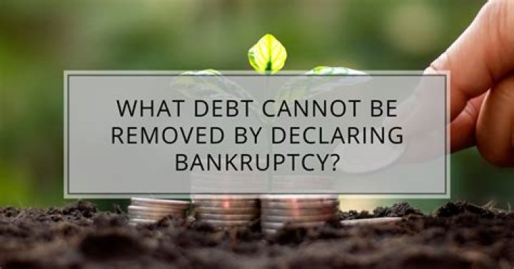What debt Cannot be removed by declaring bankruptcy?