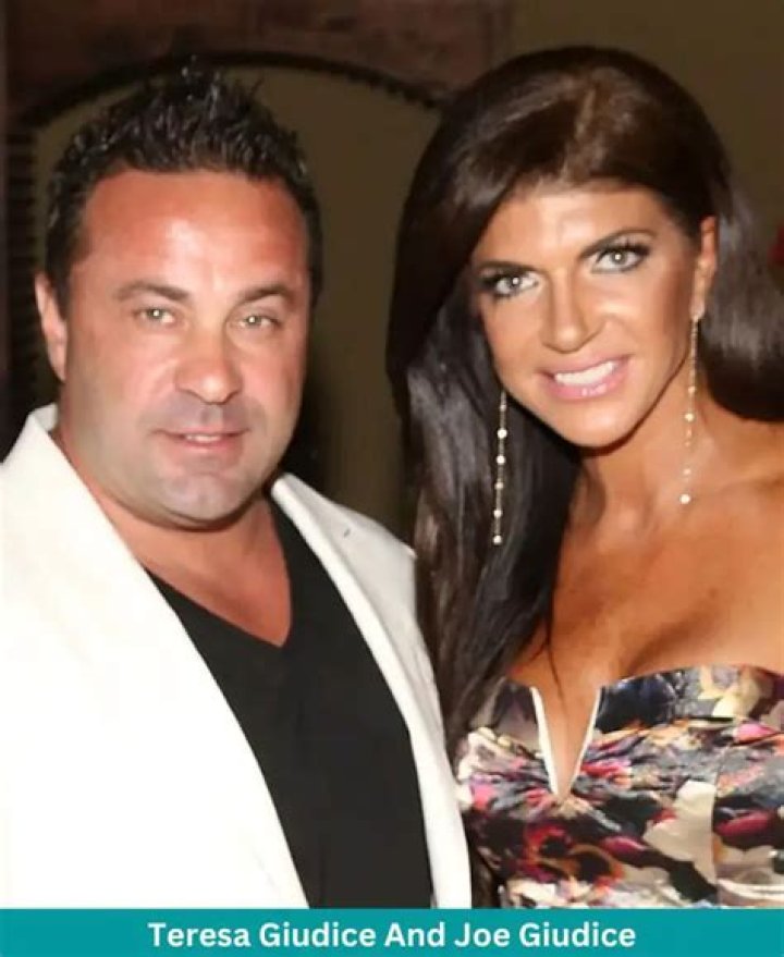 What did Joe Giudice do for a living?