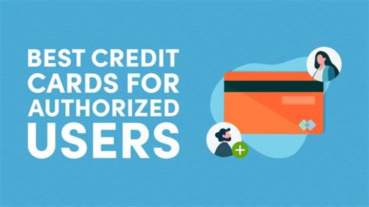 What do lenders know about authorized users on credit cards?