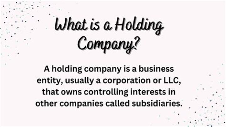 What do u mean by holding company?