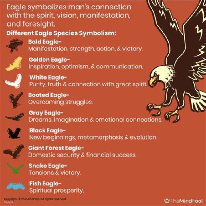 What does a black eagle symbolize?