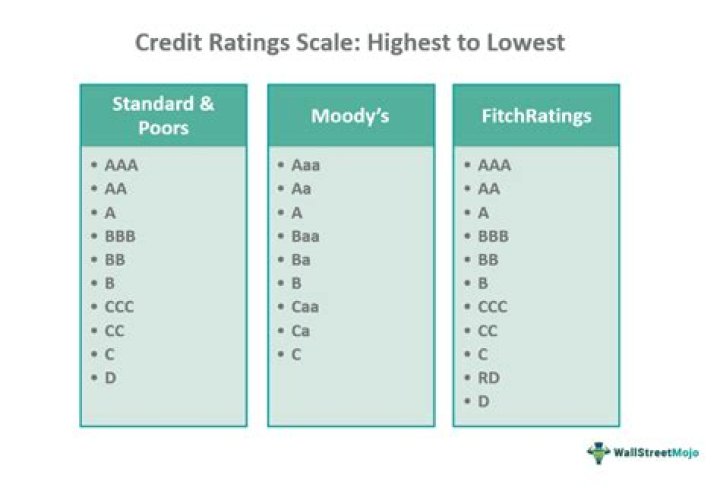 What does a credit rating of D mean?