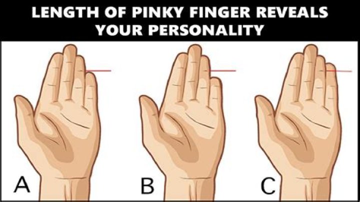 What does a short pinky finger mean?