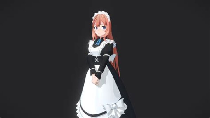 What does a typical maid service include?