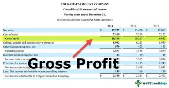 What does gross profit not appear on?