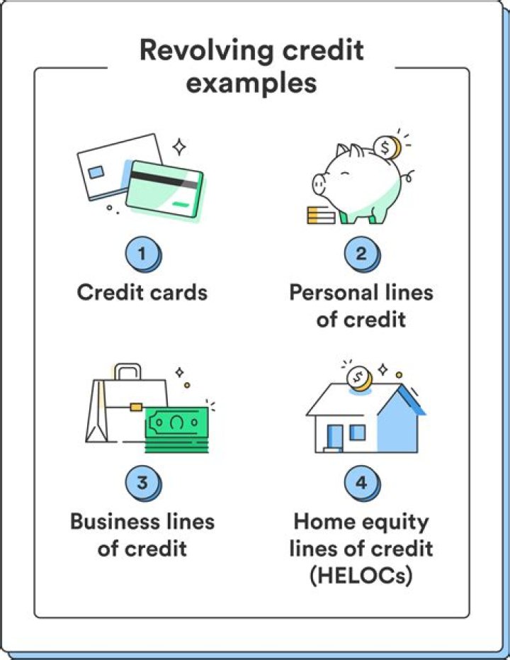 What does lack of revolving accounts mean?