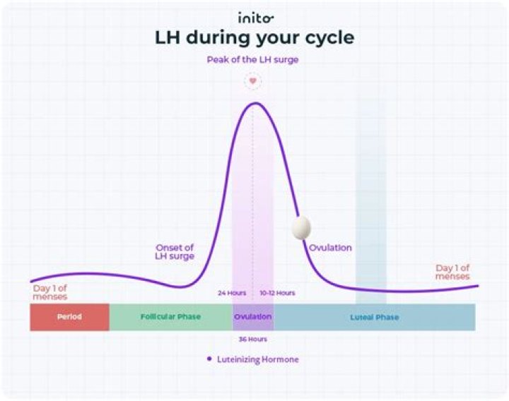 What does LH mean social media? – Celebrity.fm – #1 Official Stars, Business & People Network, Wiki, Success story, Biography & Quotes