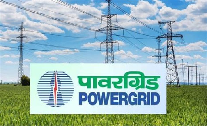What does Power Grid Corporation of India do?