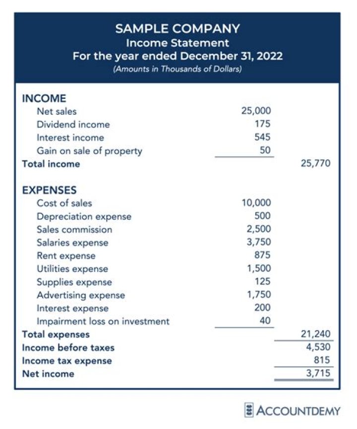 What goes on an income statement?