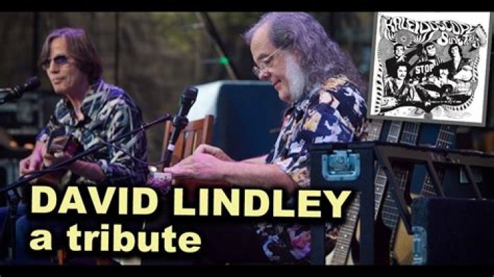 What happened to David Lindley? Does David Lindley still perform?