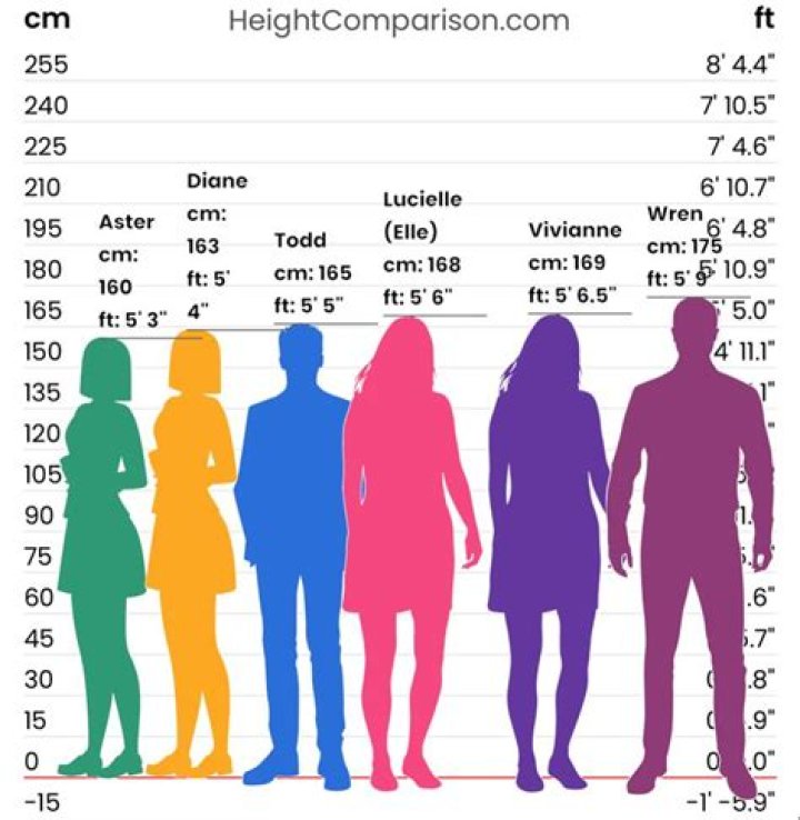 What height is 193 cm?