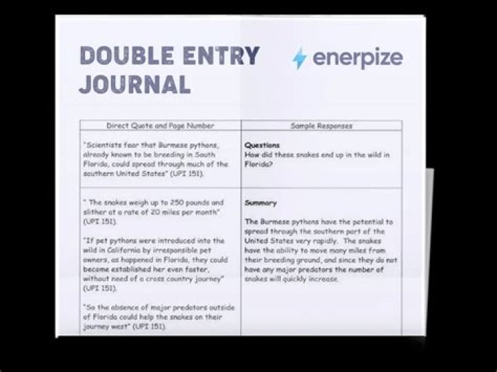 What is a double-entry journal and what does it do?