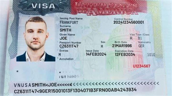 What is a full form of visa?