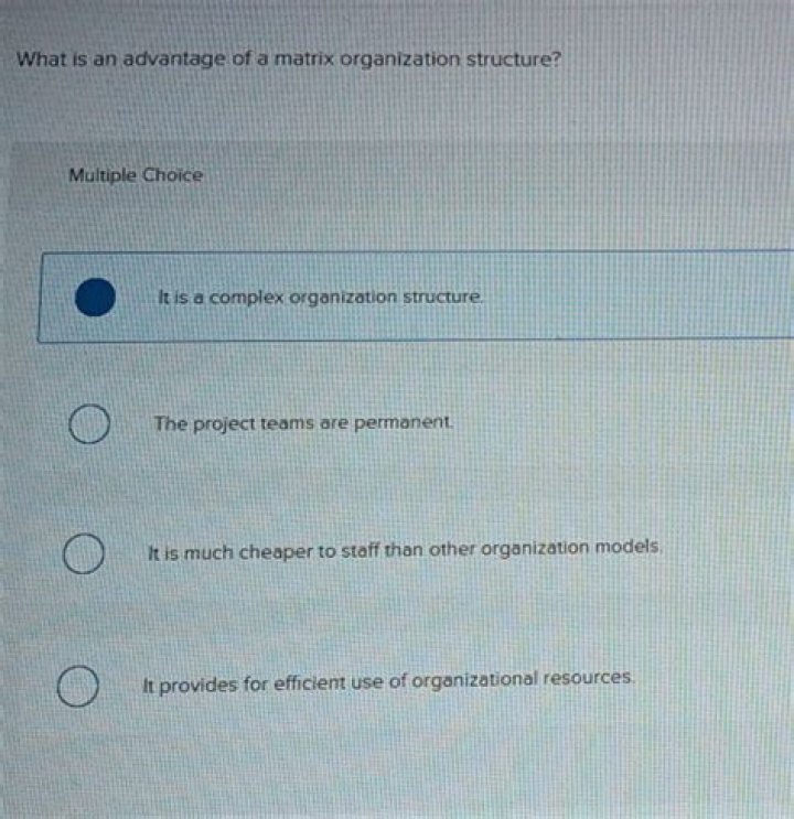 What is an advantage of a matrix organization?