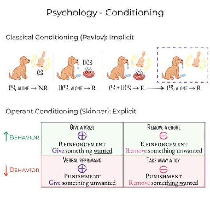 What is another term for larceny?