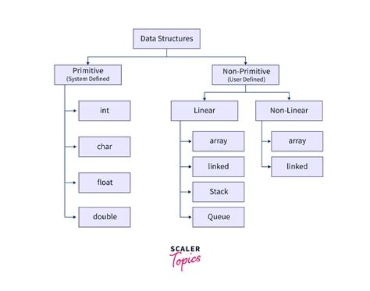 What is data type in spreadsheet?