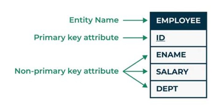 What is difference between entity and entity set?