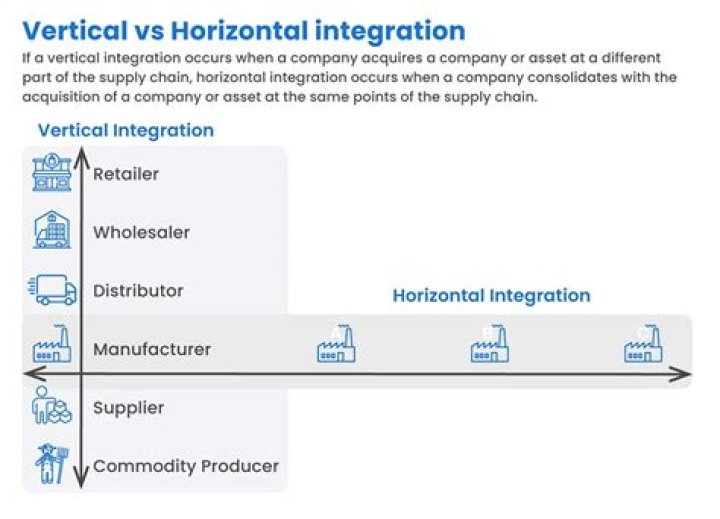 What is horizontal integration with example?