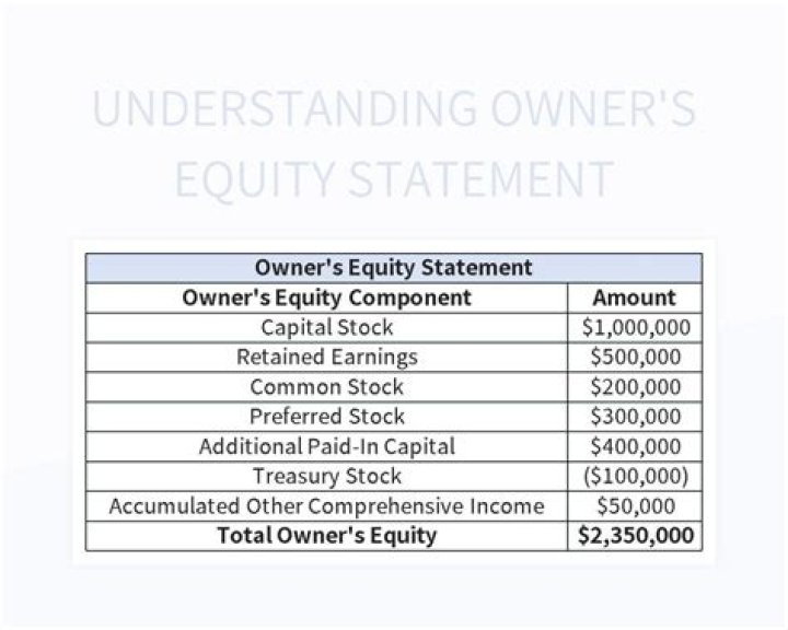 What is included in the statement of owners equity?