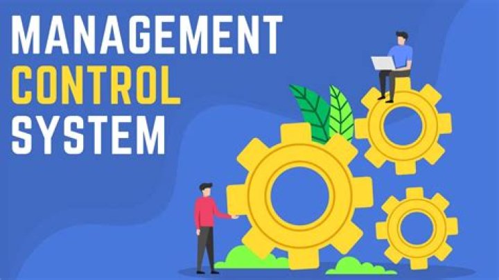 What is meant by management control system?